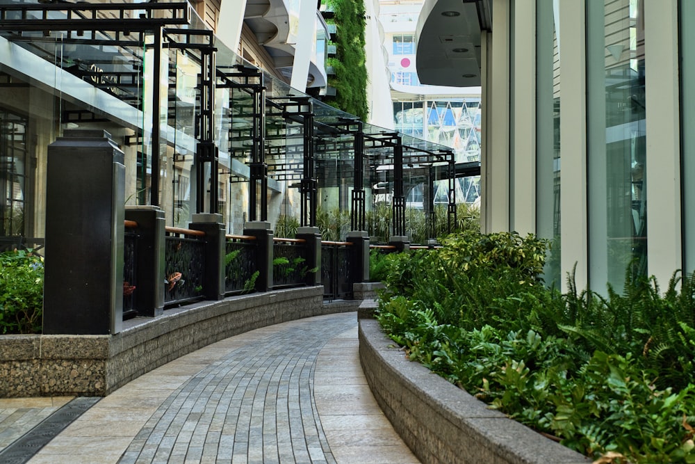a walkway lined with plants next to a building