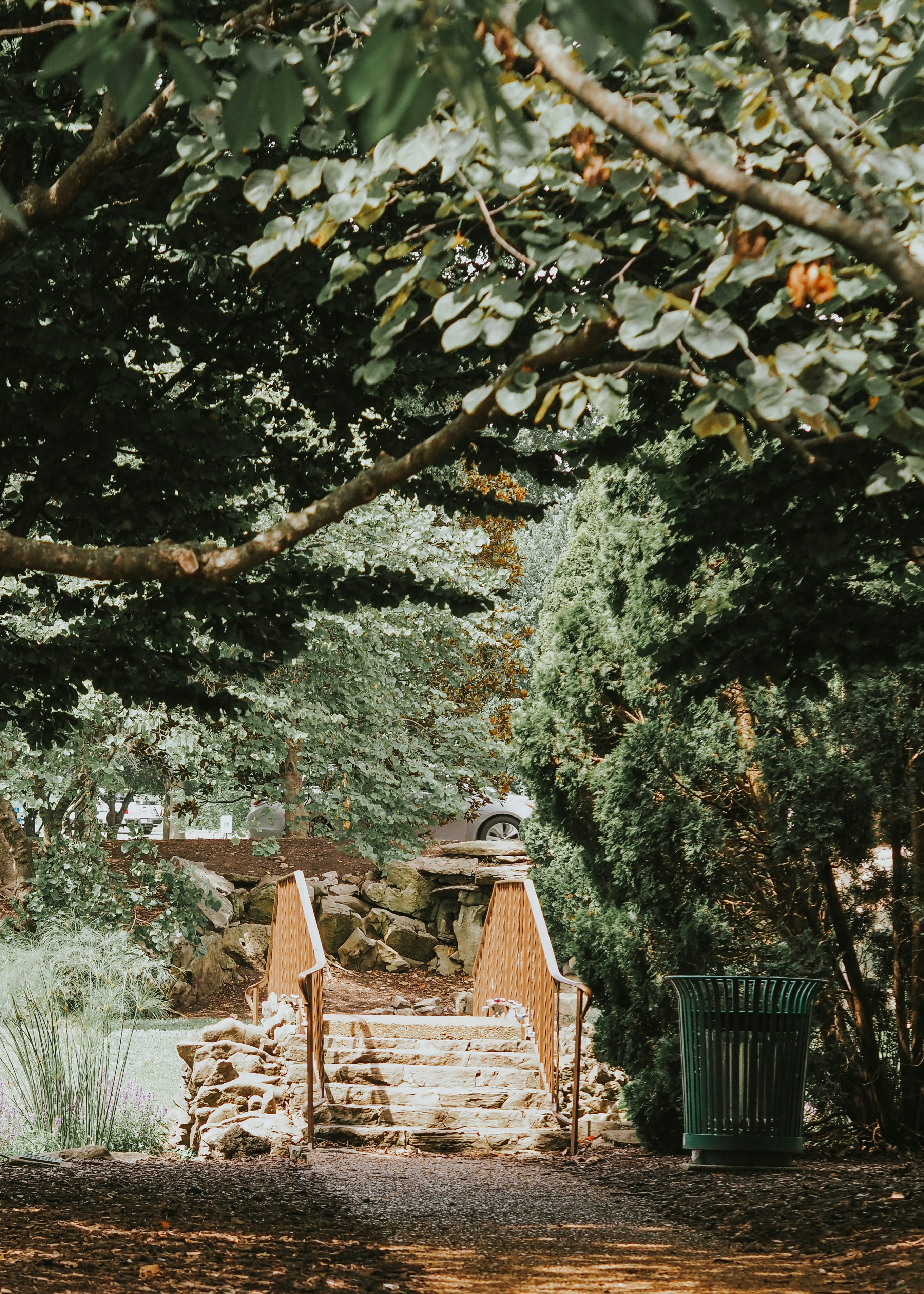 Photo by fieldworkframes