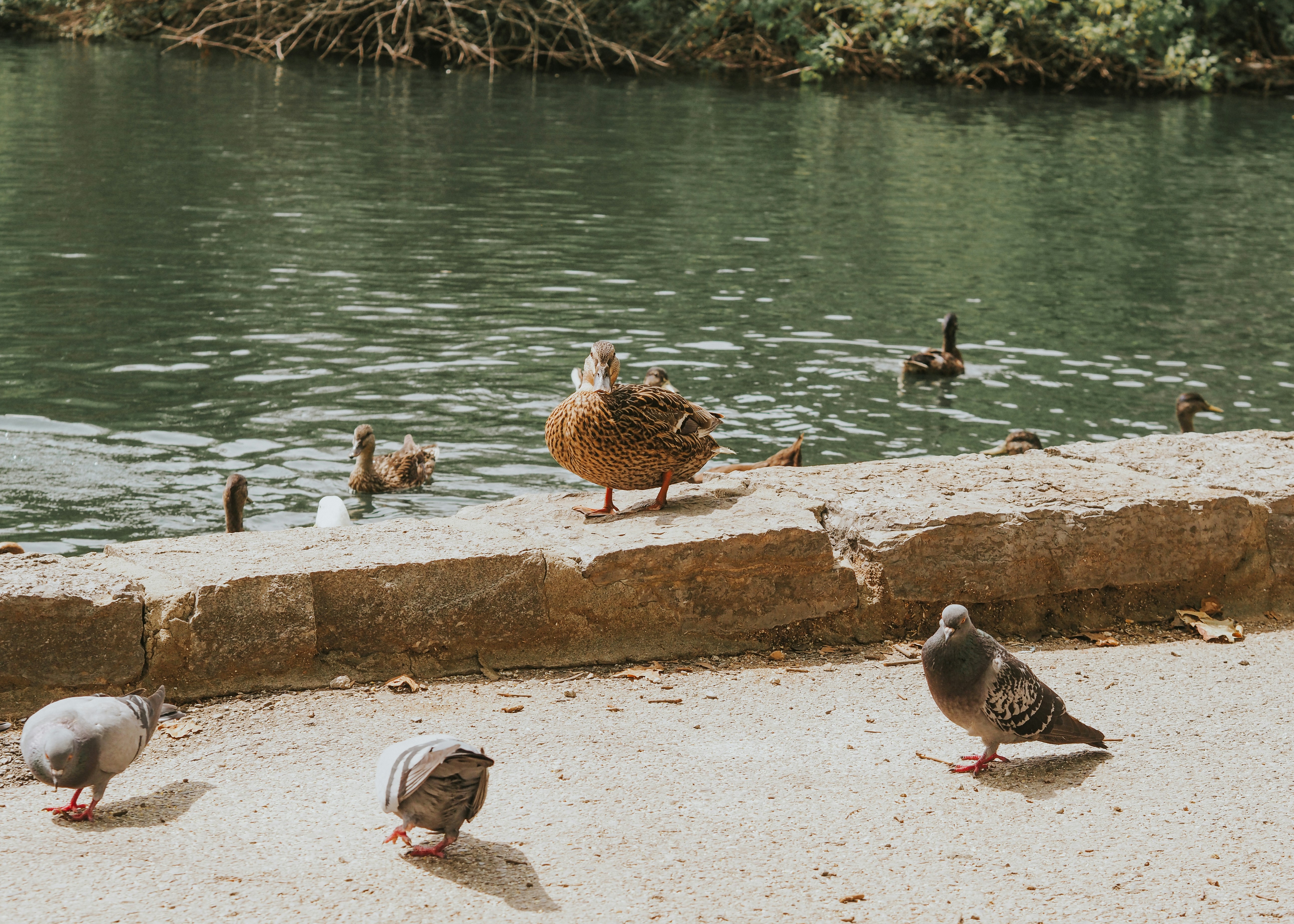 Photo by fieldworkframes