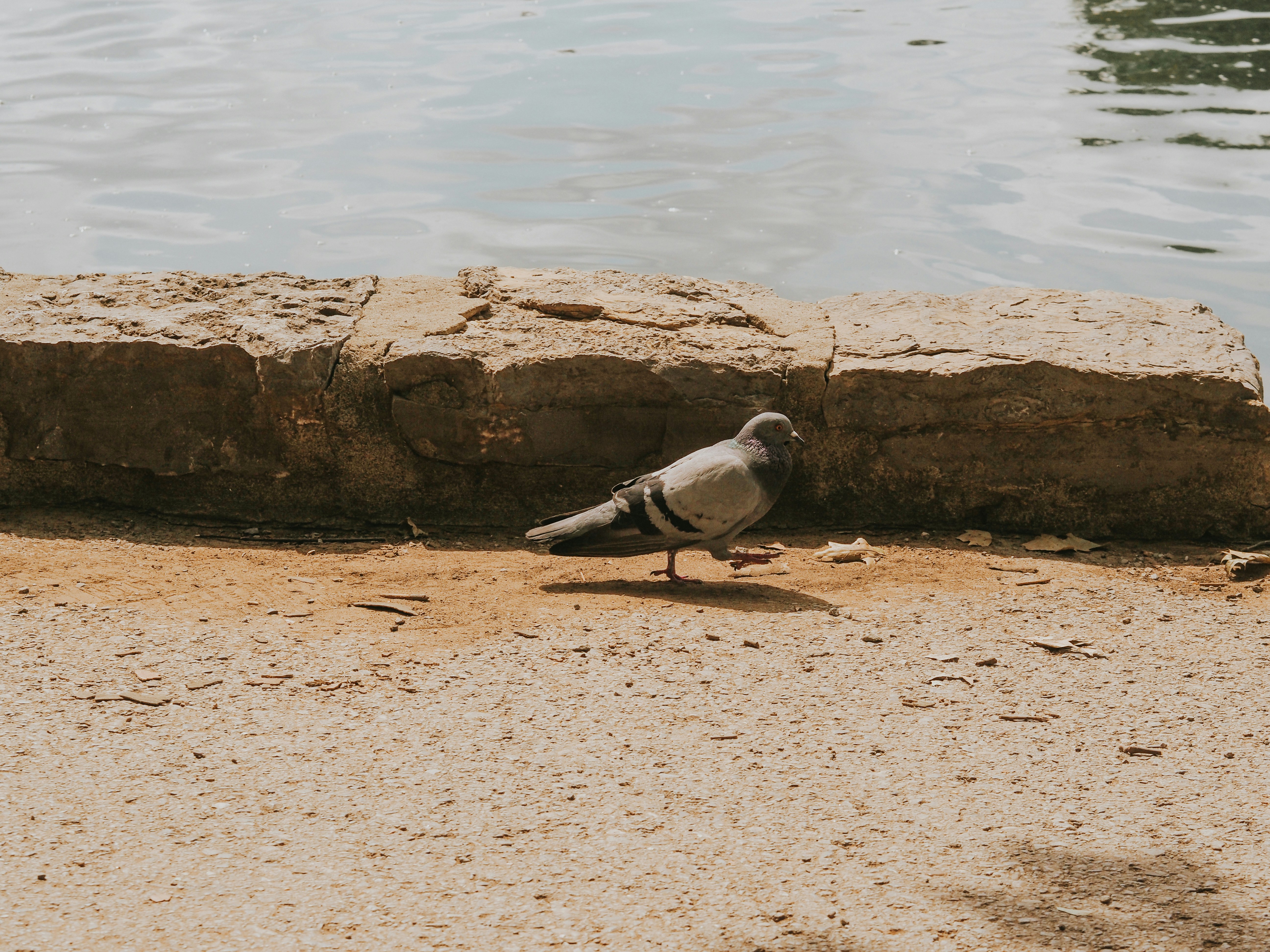 Photo by fieldworkframes