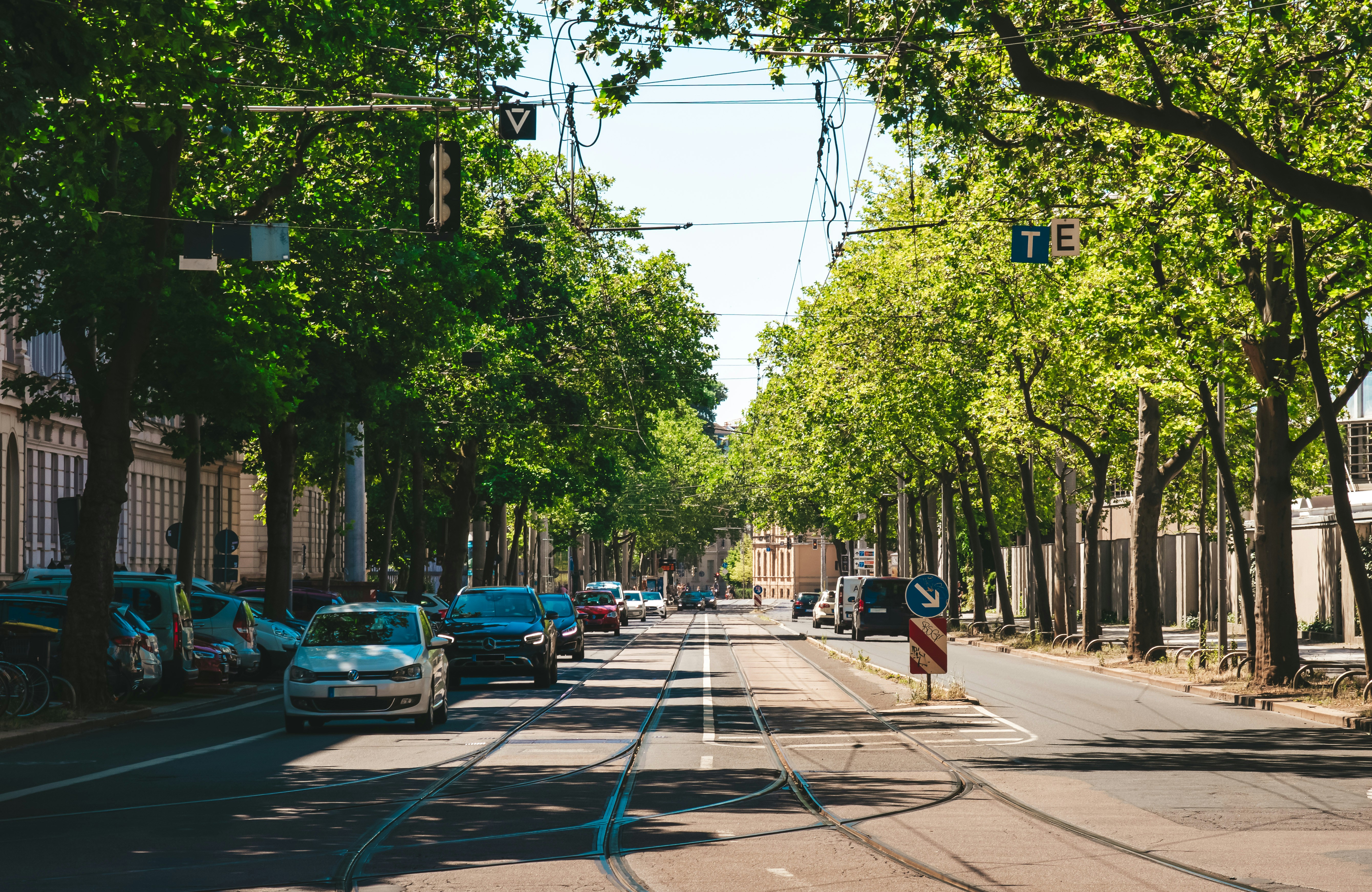 Photo by frozencloud