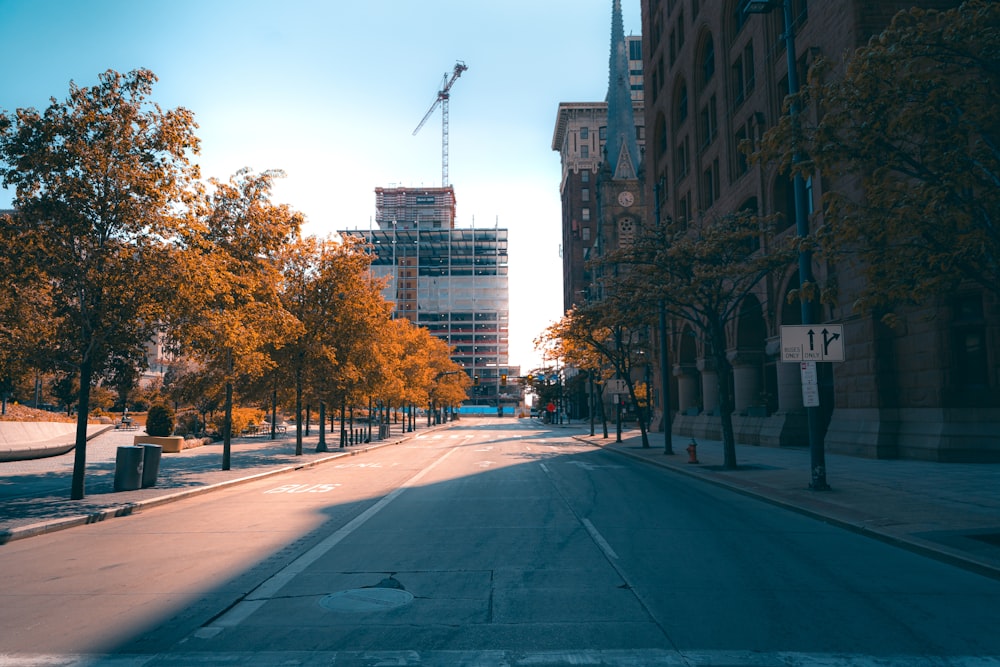 a city street lined with tall buildings and trees