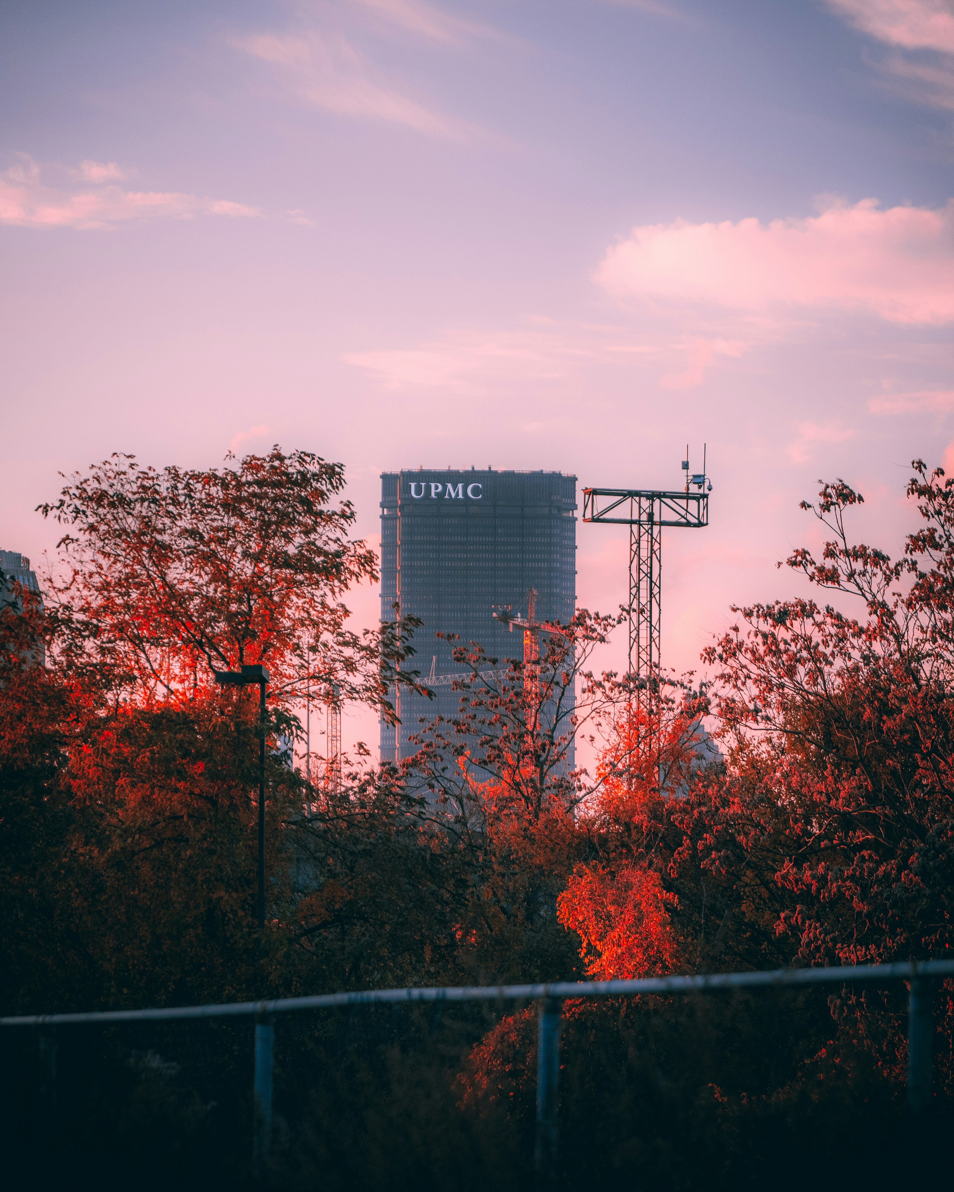 Photo by raymondkotewicz