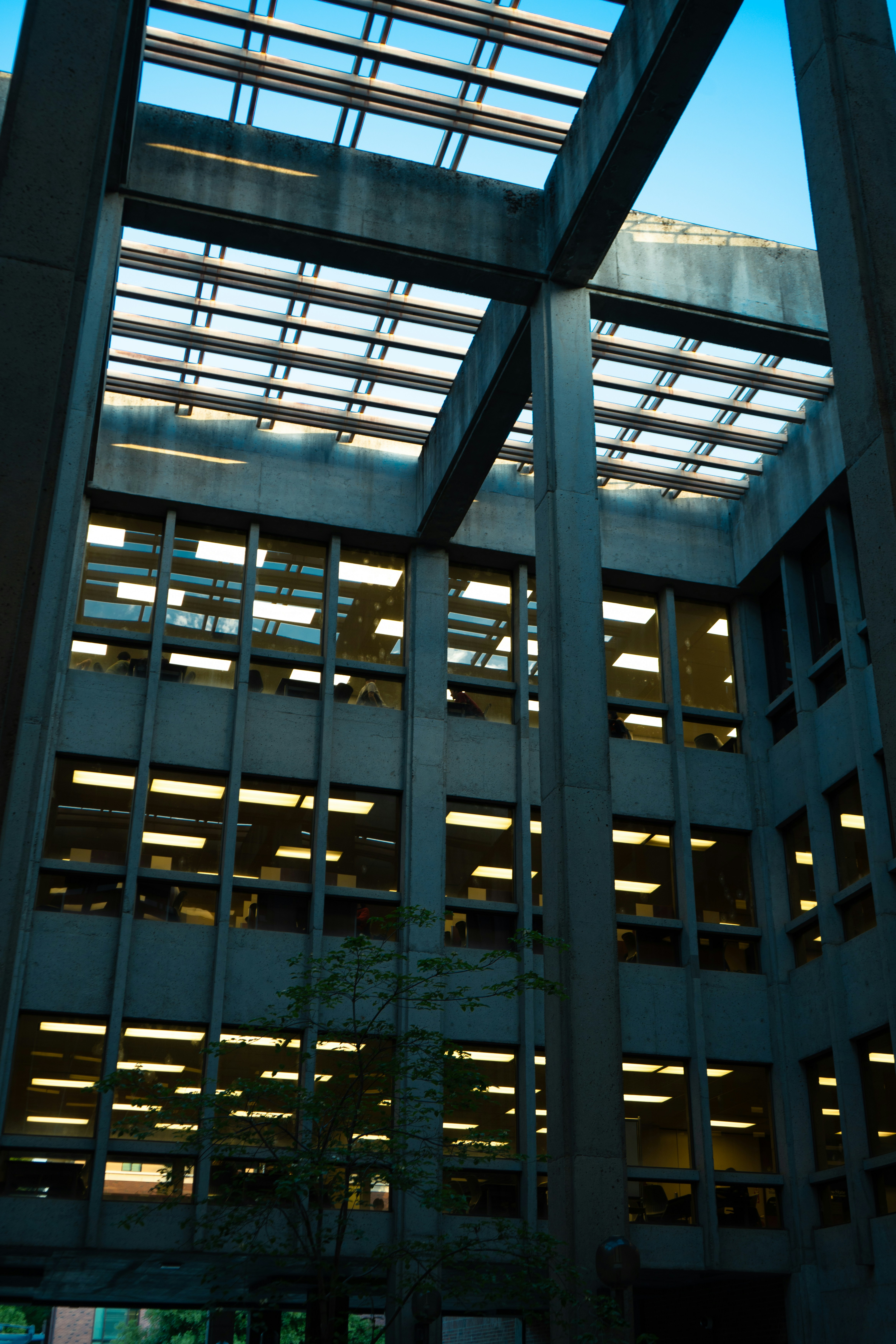 Photo by emilio_chavez