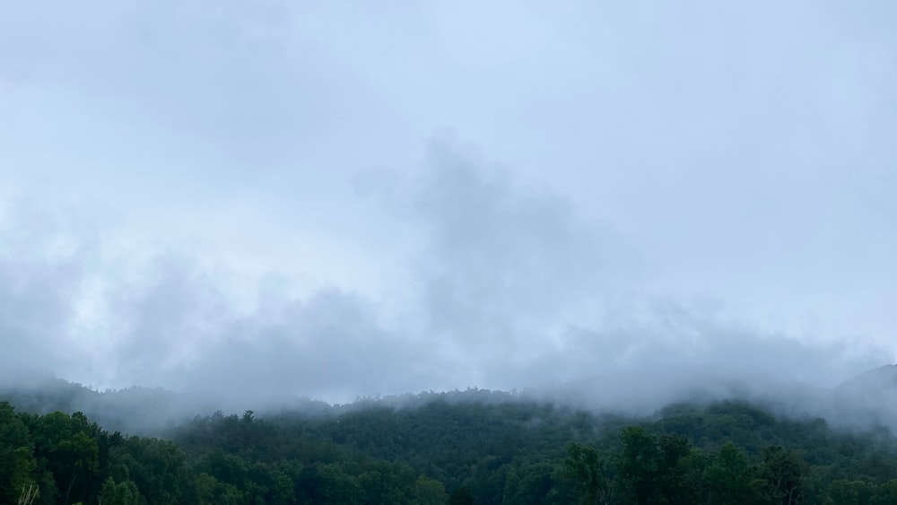 a mountain covered in clouds and trees on a cloudy day