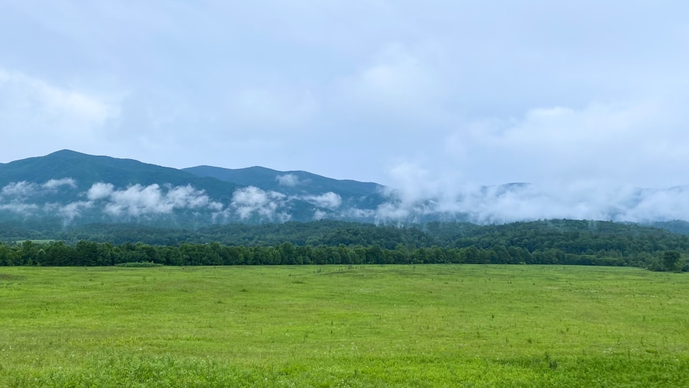 a field with a mountain in the background