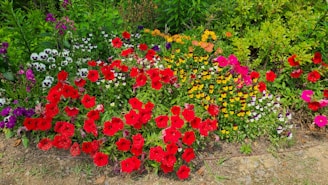 A vibrant display of lush green plants and colorful flowers arranged in a cozy garden setting.