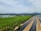 A lush green field of crops is neatly arranged in rows with dark plastic coverings, surrounded by a wire fence. In the background, there are rolling hills and a cloudy sky, creating a serene and expansive environment.
