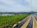 A lush green field of crops is neatly arranged in rows with dark plastic coverings, surrounded by a wire fence. In the background, there are rolling hills and a cloudy sky, creating a serene and expansive environment.