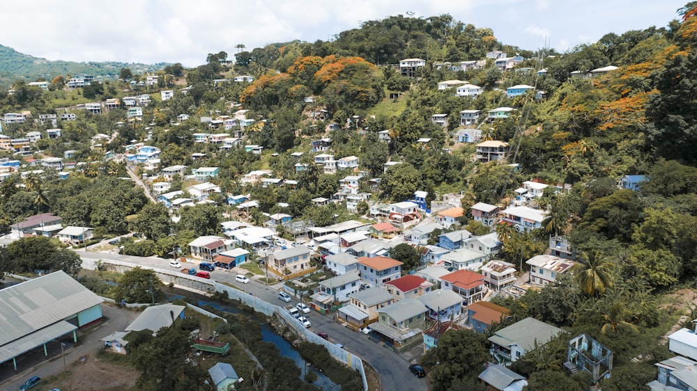 an aerial view of a small town surrounded by trees