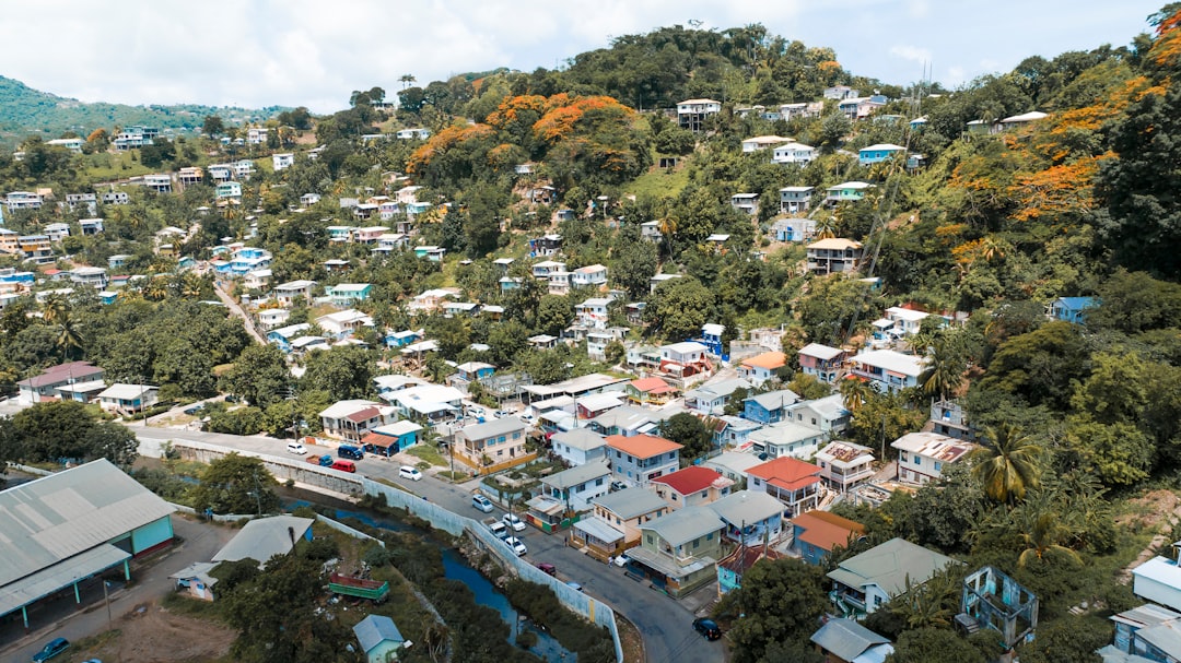 an aerial view of a small town surrounded by trees, The Village, River Road | Grenada, West Indies