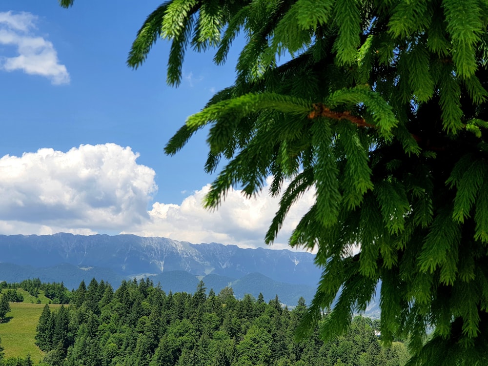 a view of a mountain range from a distance