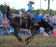Cowboy riding a bucking bronco at the rodeo under a bright blue sky.