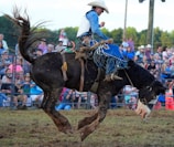 A cowboy skillfully riding a bucking bronco under a bright blue sky.