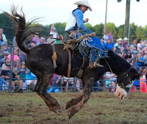 A rodeo scene with a cowboy riding a bucking horse in an outdoor arena. The cowboy is wearing a white hat, blue shirt, and protective gear, and the horse is mid-air with its mane and tail flying. The background shows a crowd of spectators watching the event, with trees in the distance.