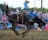 A rodeo scene with a cowboy riding a bucking horse in an outdoor arena. The cowboy is wearing a white hat, blue shirt, and protective gear, and the horse is mid-air with its mane and tail flying. The background shows a crowd of spectators watching the event, with trees in the distance.