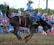 A rodeo scene with a cowboy riding a bucking horse in an outdoor arena. The cowboy is wearing a white hat, blue shirt, and protective gear, and the horse is mid-air with its mane and tail flying. The background shows a crowd of spectators watching the event, with trees in the distance.