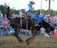 A rodeo scene with a cowboy riding a bucking horse in an outdoor arena. The cowboy is wearing a white hat, blue shirt, and protective gear, and the horse is mid-air with its mane and tail flying. The background shows a crowd of spectators watching the event, with trees in the distance.
