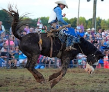 A rodeo scene with a cowboy riding a bucking horse in an outdoor arena. The cowboy is wearing a white hat, blue shirt, and protective gear, and the horse is mid-air with its mane and tail flying. The background shows a crowd of spectators watching the event, with trees in the distance.