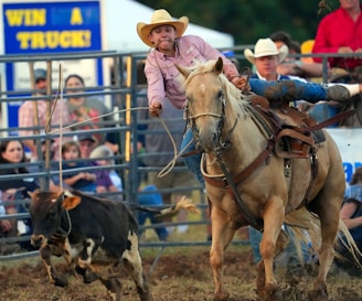 A rodeo scene with a cowboy in a pink shirt and hat riding a horse. He is actively lassoing a small, agile calf. The background features an audience observing from behind metal fences, and there is a sign on the left that reads 'WIN A TRUCK!'. The atmosphere is energetic and lively.