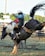 A rodeo cowboy is riding a bucking horse in an outdoor arena. The cowboy wears a white hat, blue shirt, and protective vest, while holding onto the saddle. The horse, black and white in color, is mid-buck with dirt flying around. A crowd and other riders are visible in the background.