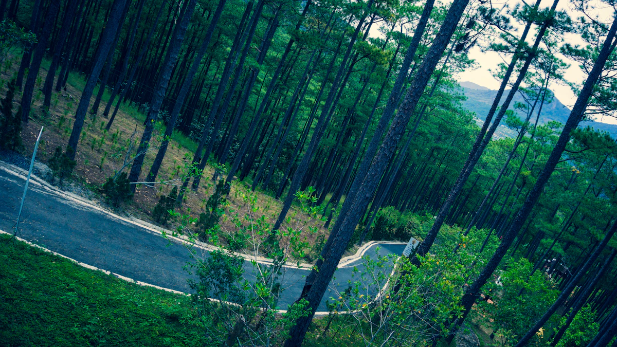 Da Lat: Vietnam's City of Eternal Spring