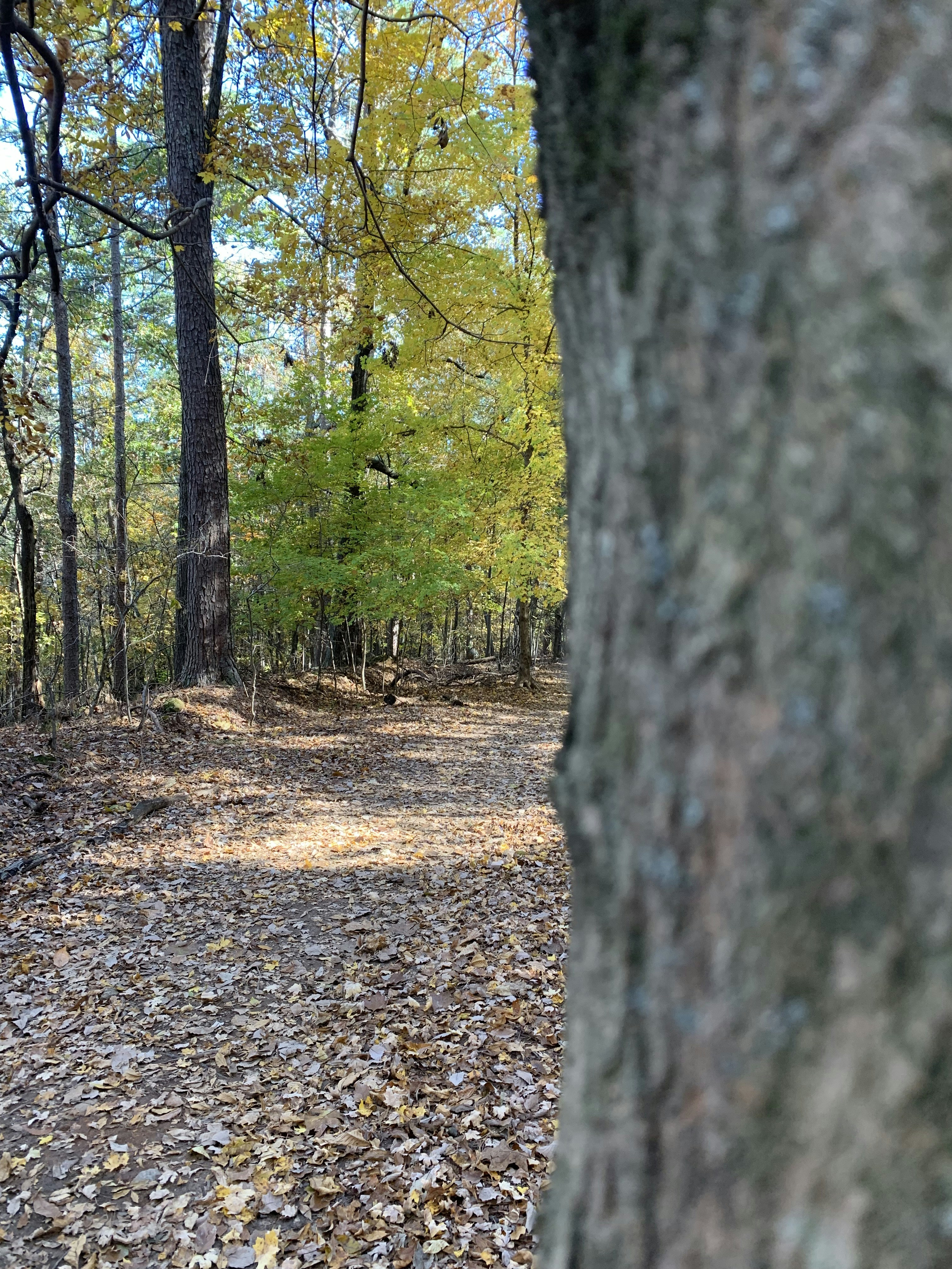 Photo by eliijahmoss