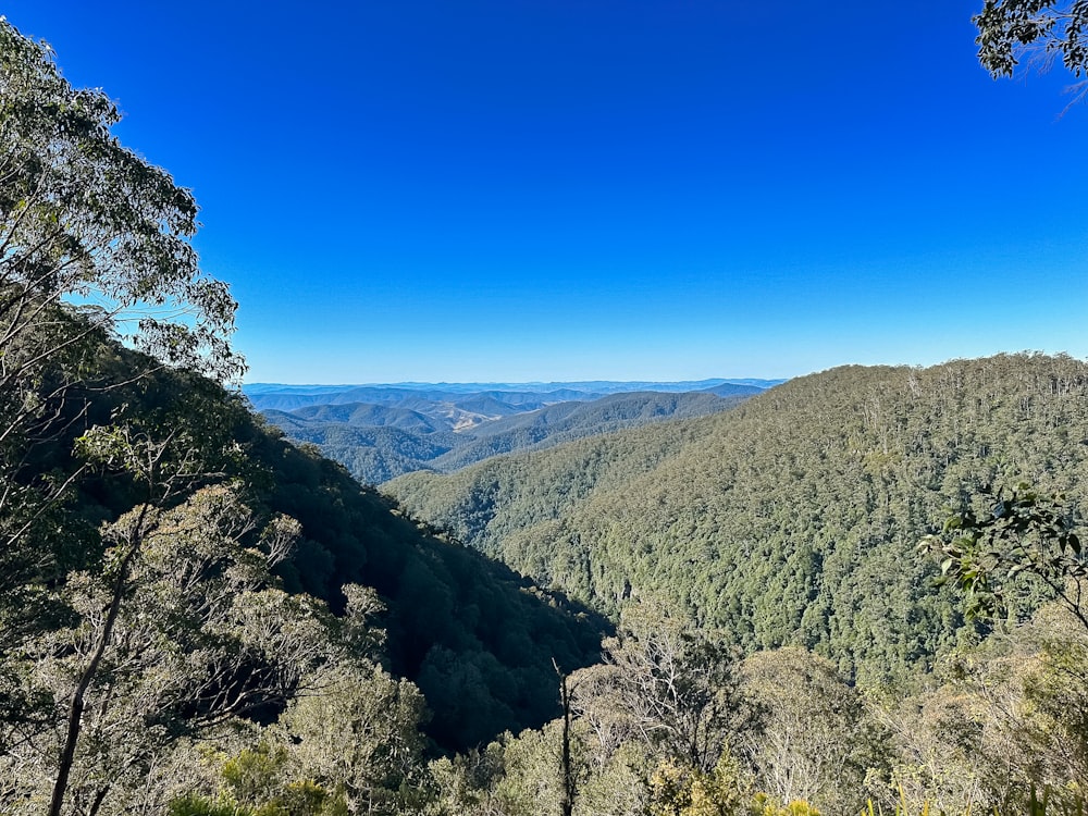 a scenic view of a valley surrounded by trees