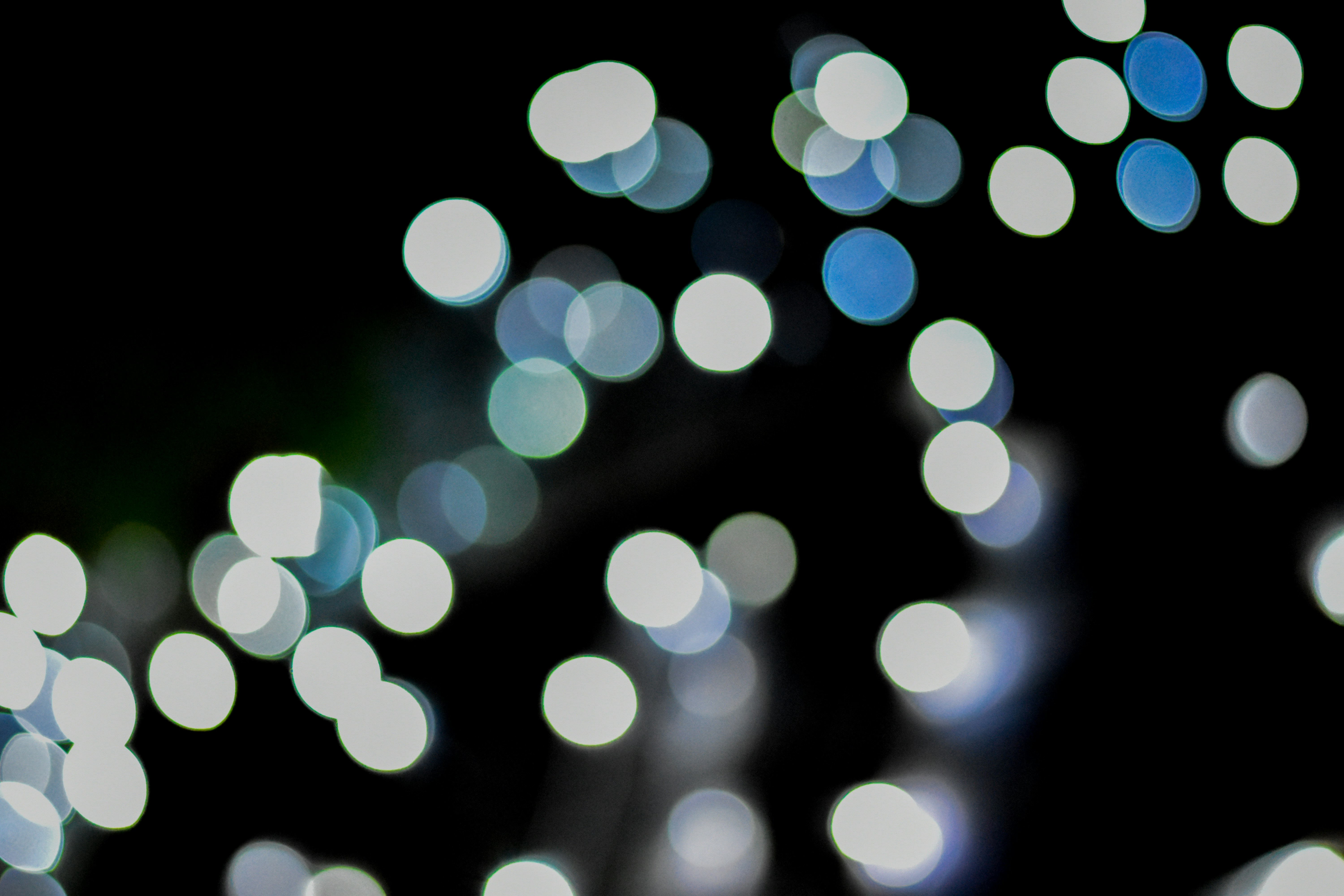 Photo by neelakshi_singh_