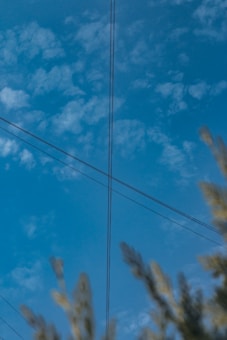 A cross section of electrical wires set against a clear blue sky with scattered clouds. In the foreground, out-of-focus branches or plants add depth to the scene.