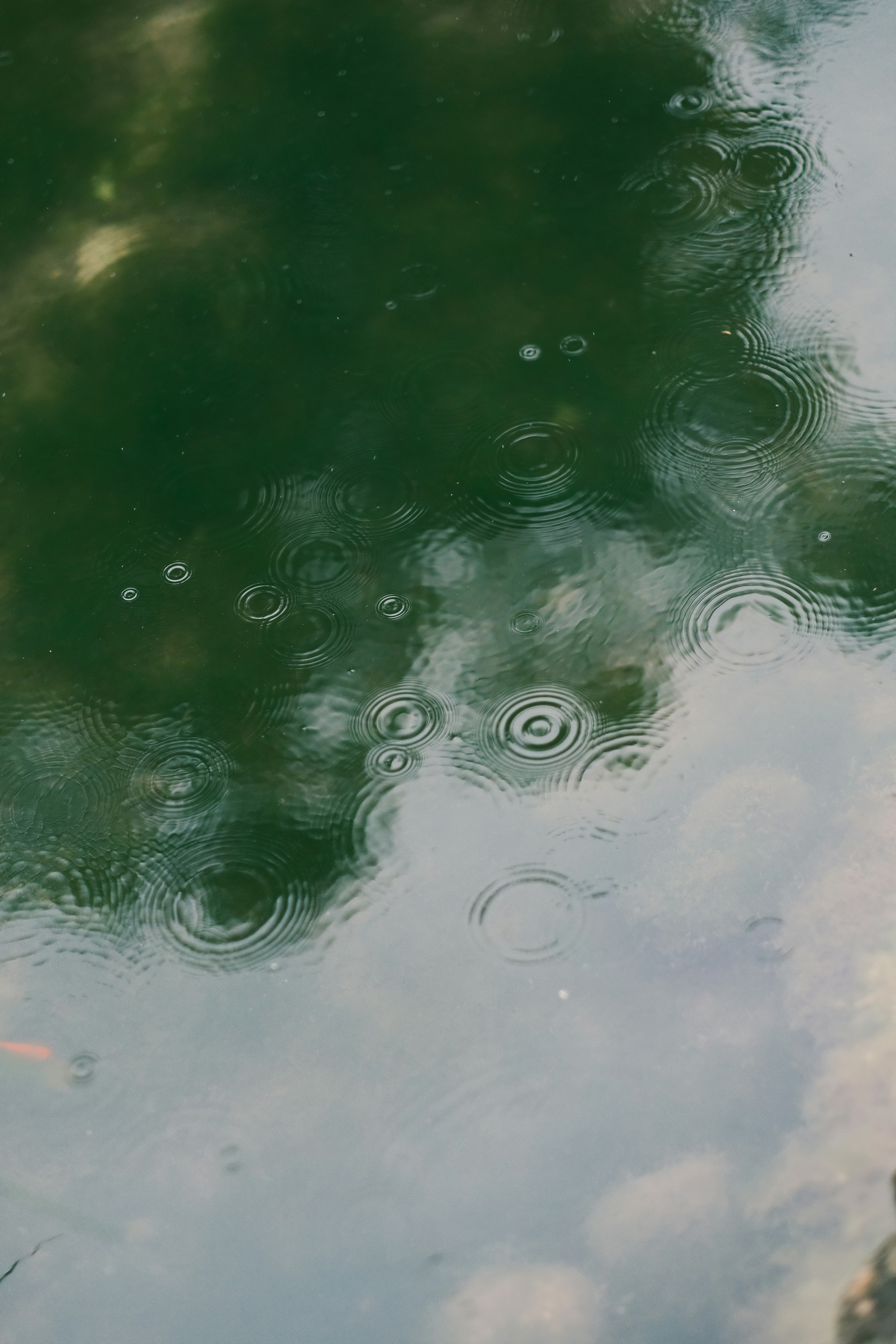 Photo by maycloudbackup