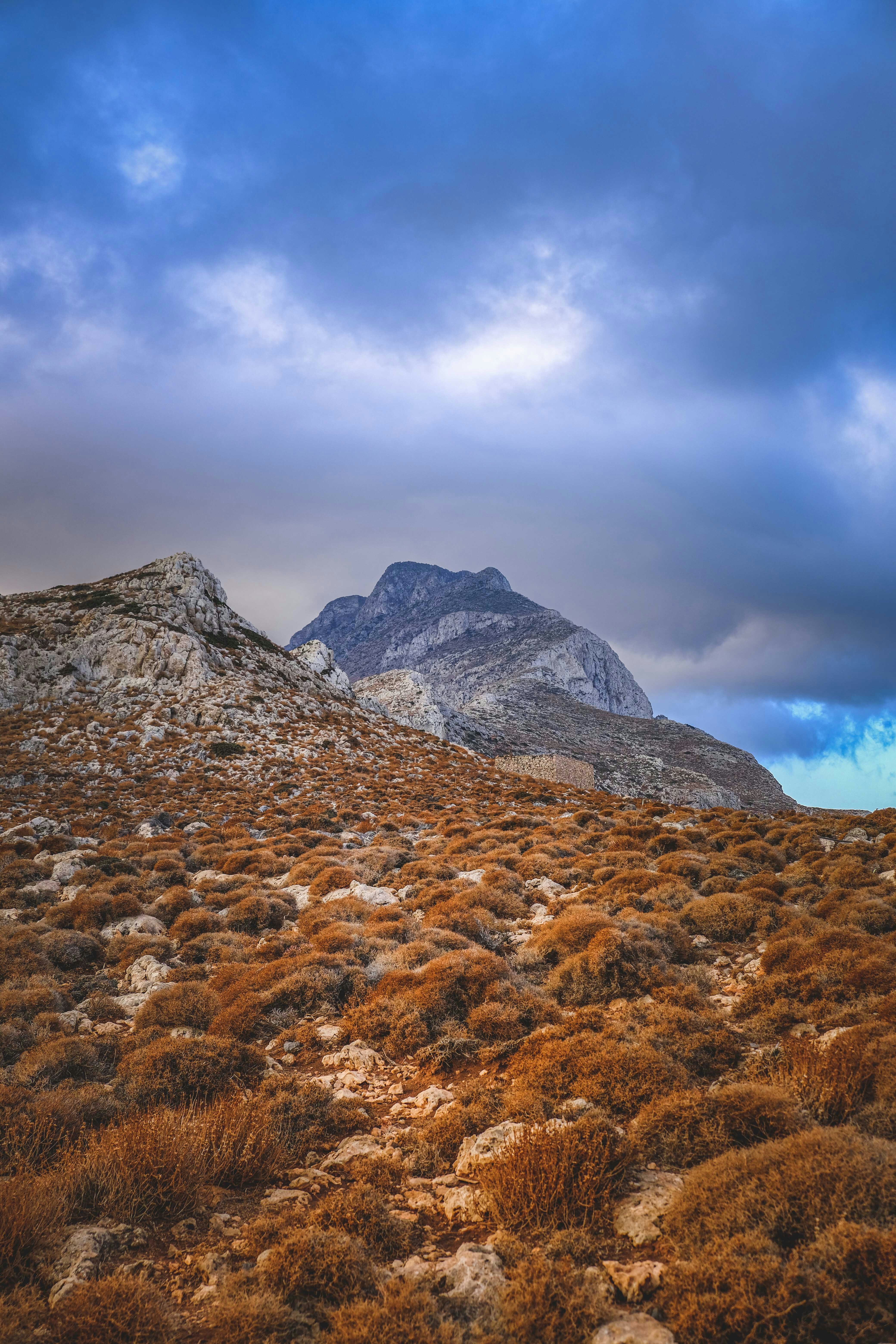 Photo by francesco_ungaro