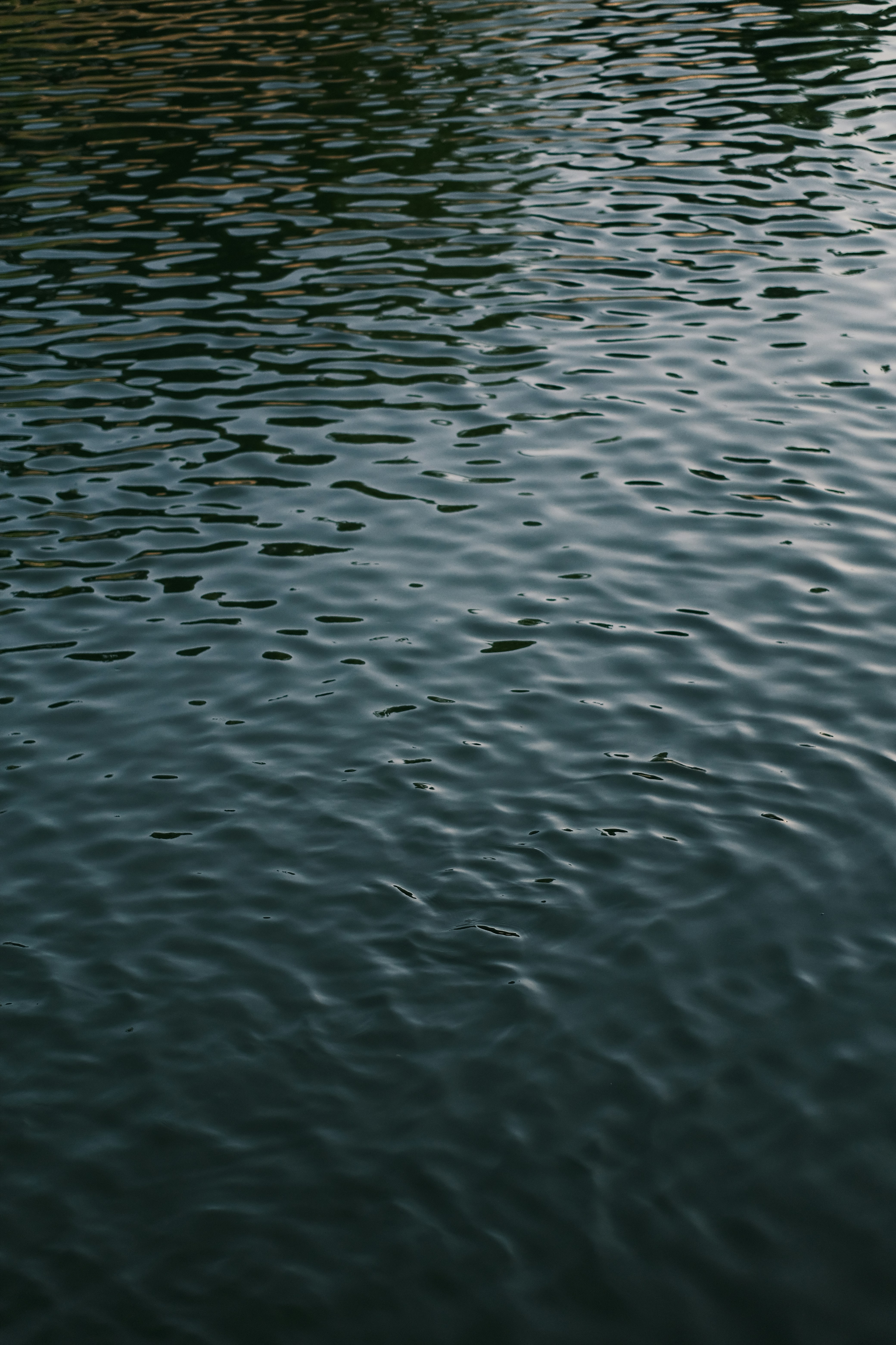 Photo by maycloudbackup