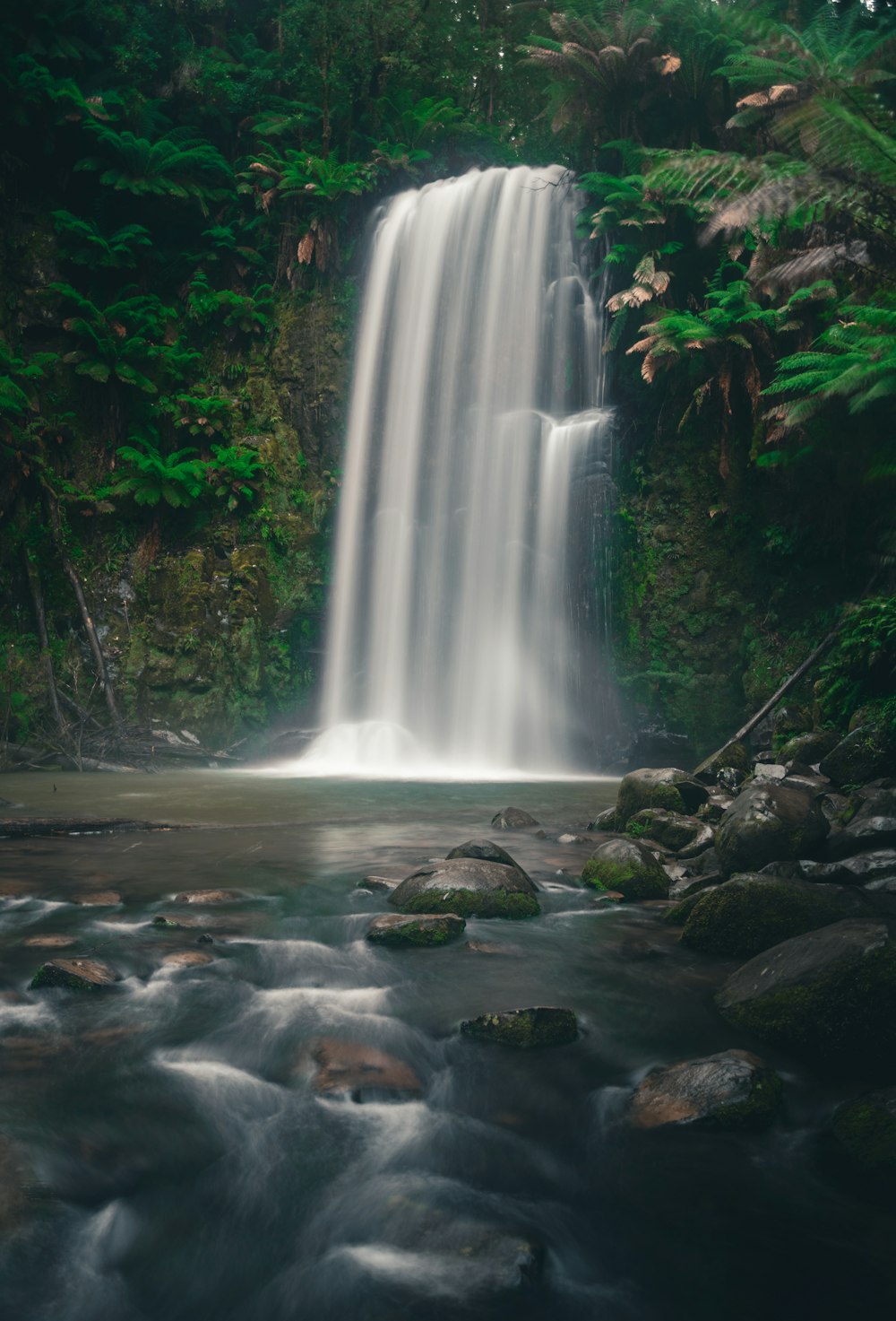 a large waterfall in the middle of a forest