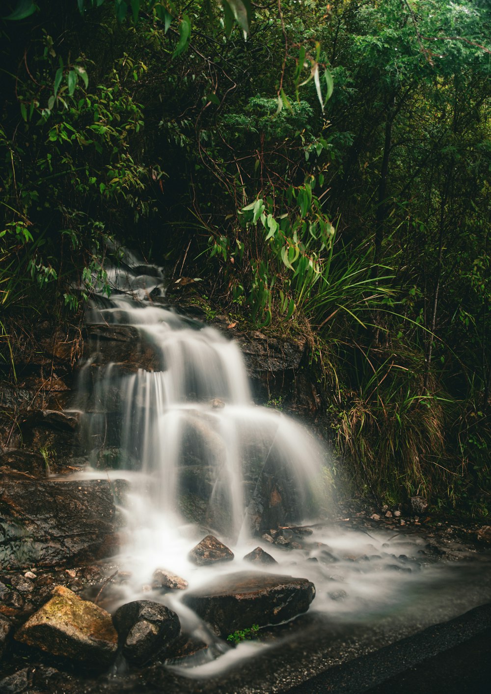 a small waterfall in the middle of a forest