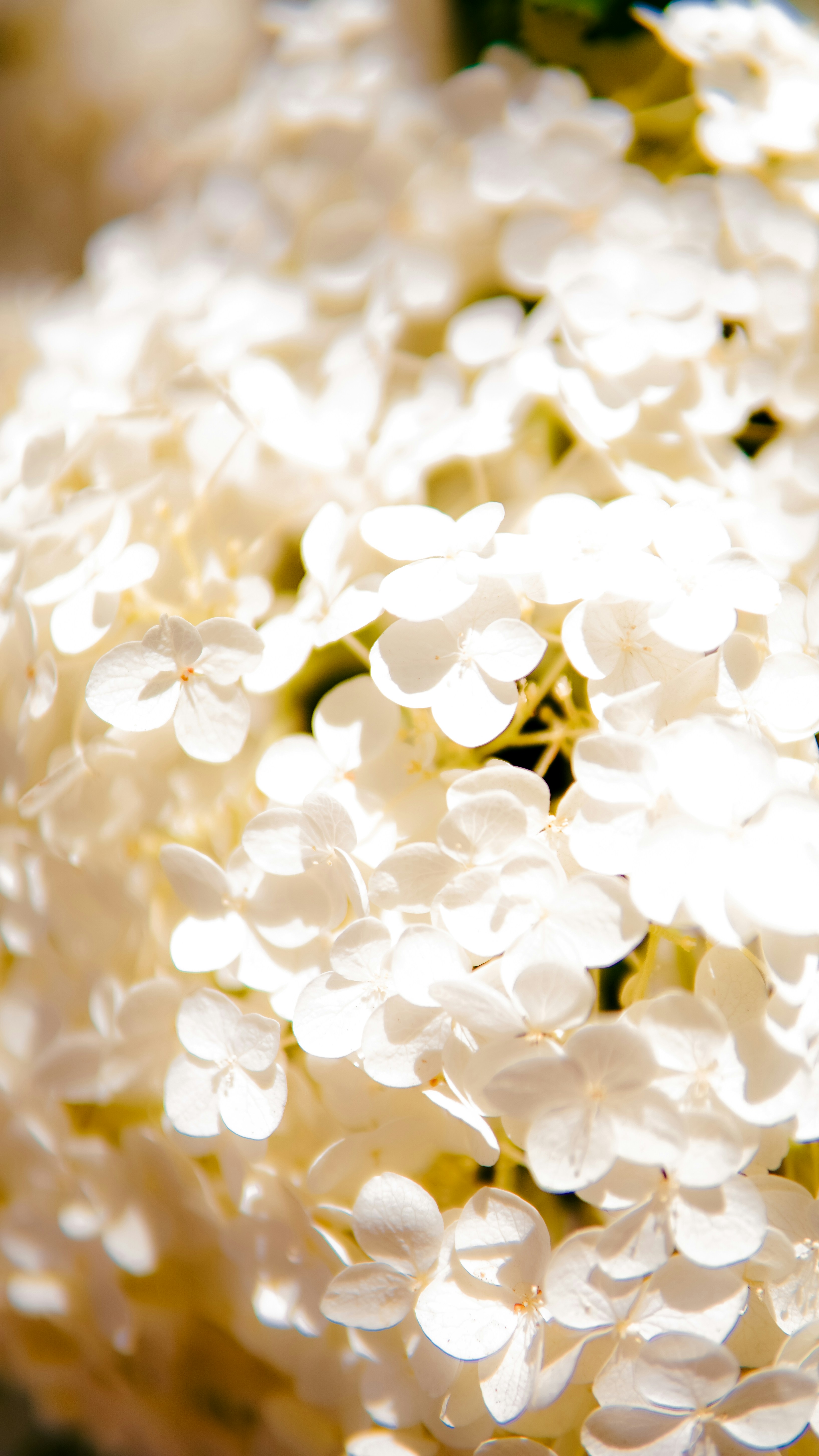 Photo by madeline_sd