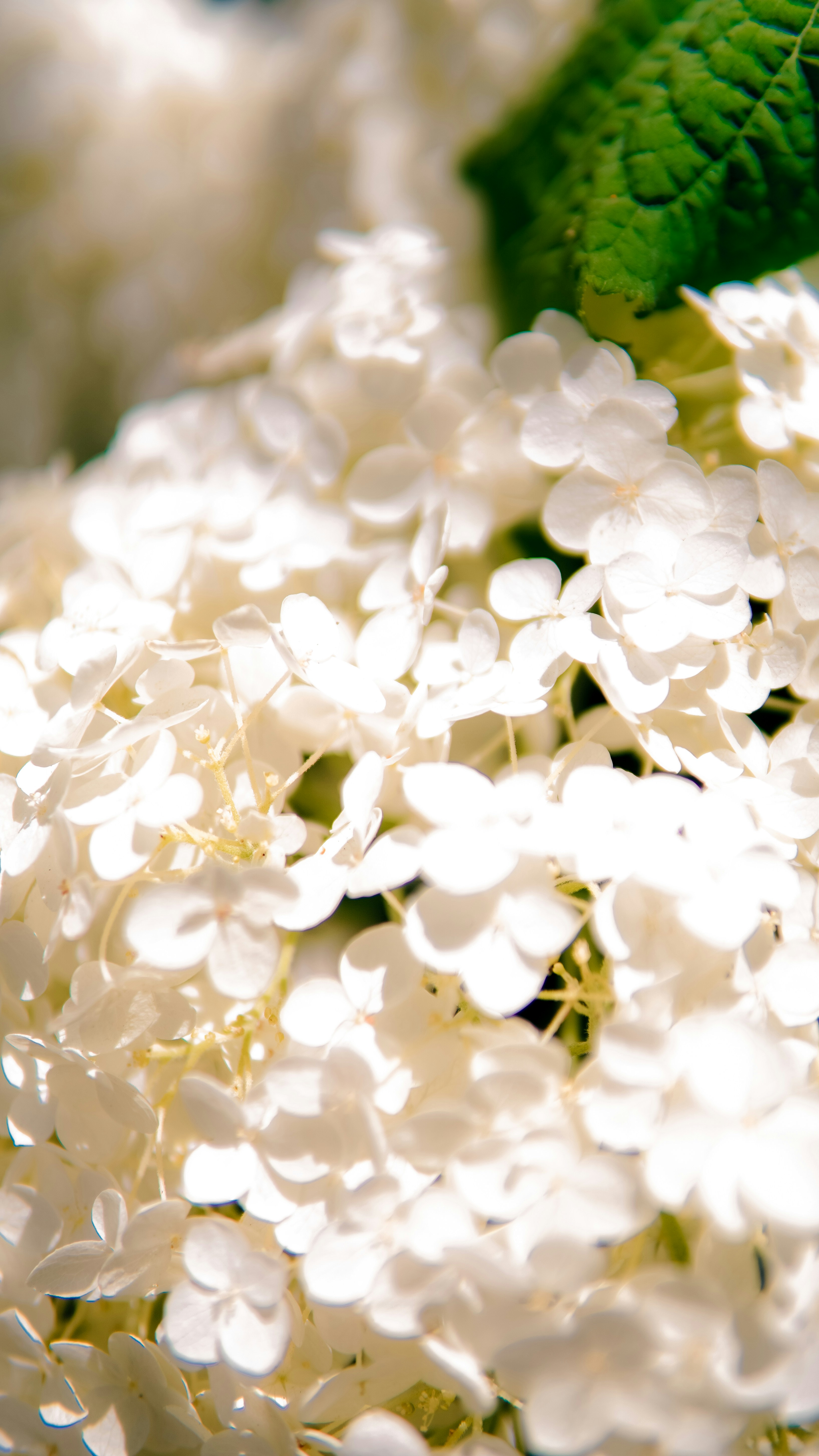 Photo by madeline_sd