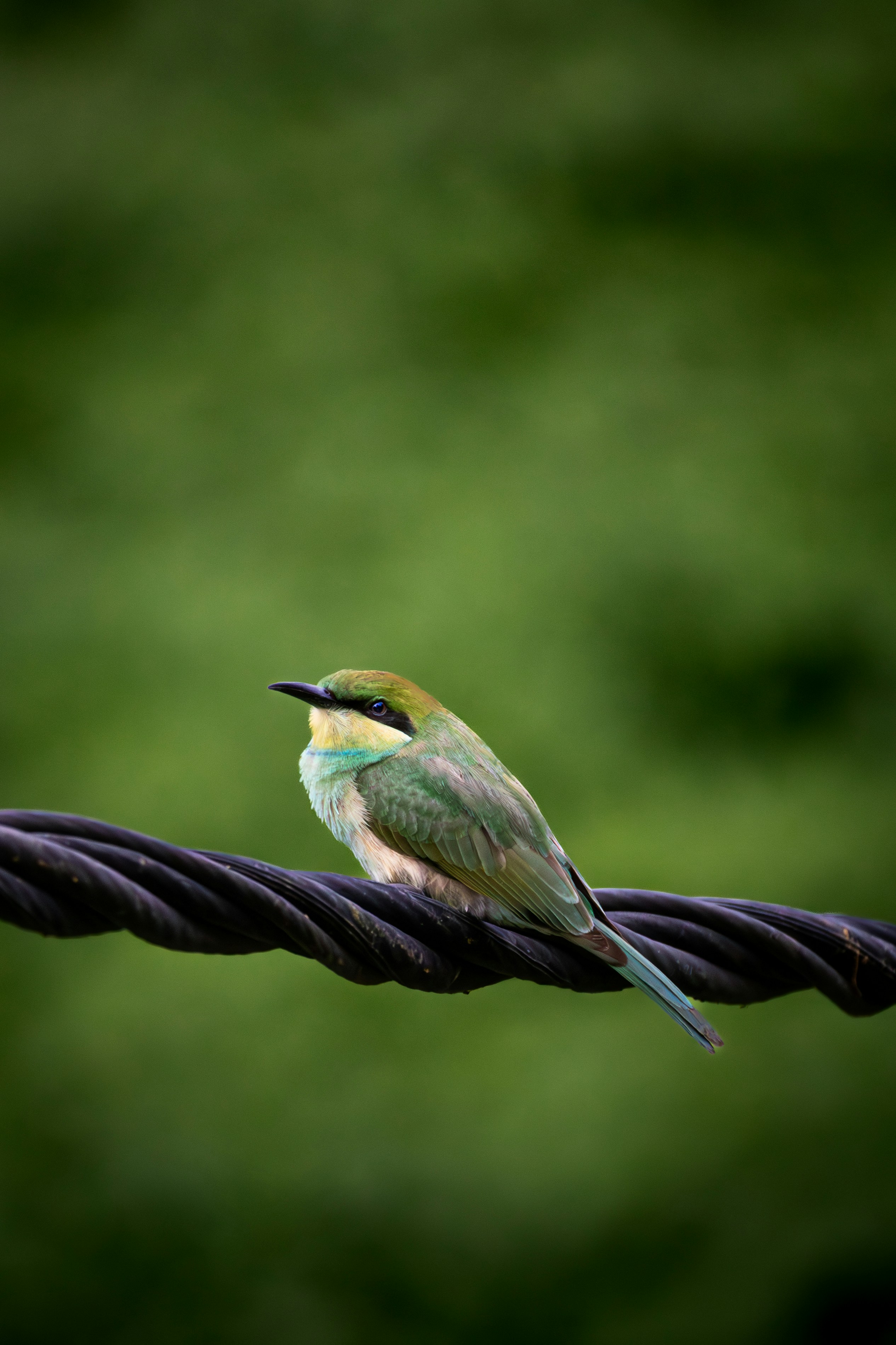 Photo by sameer_srivastava