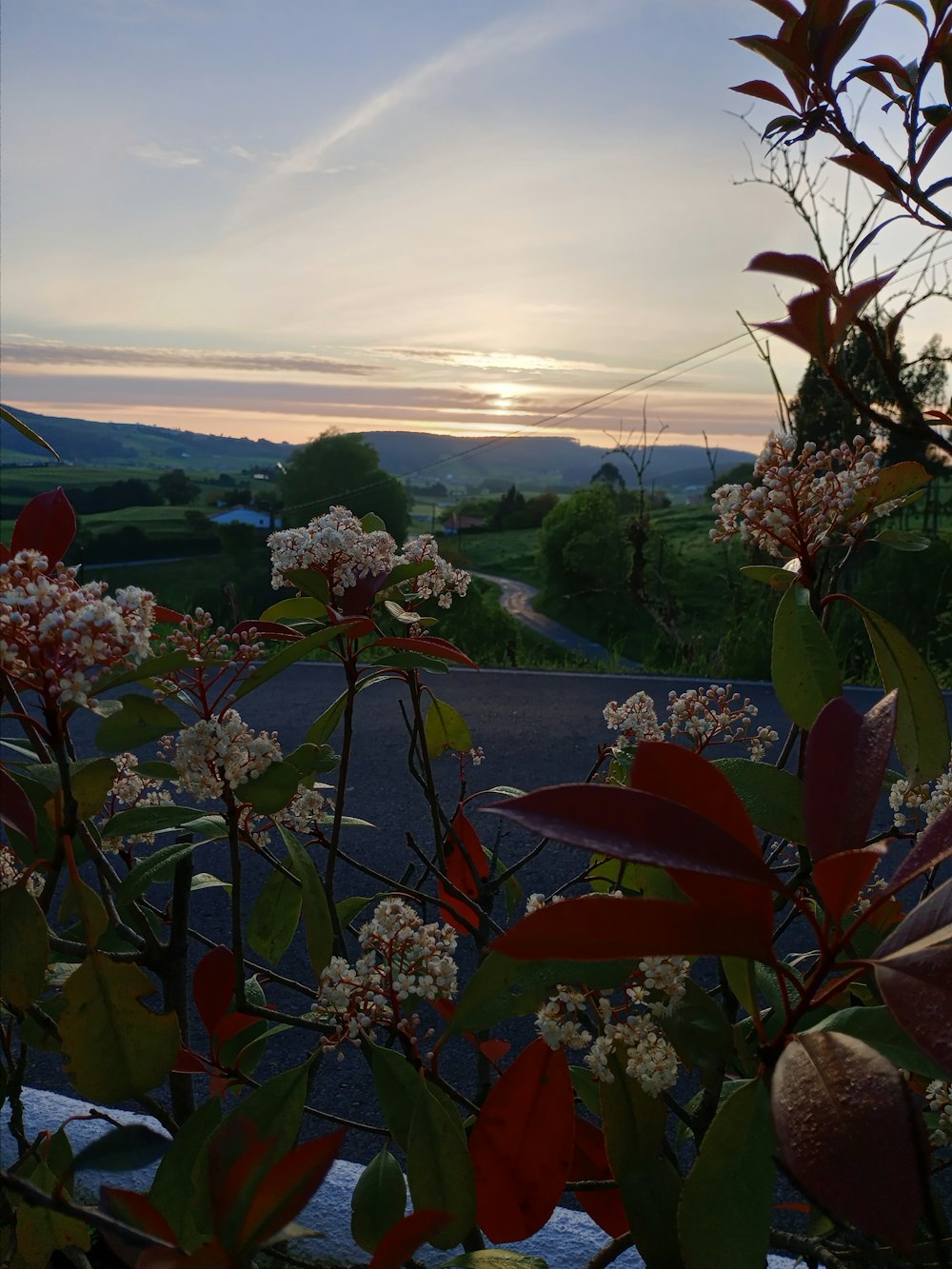 the sun is setting over a rural road