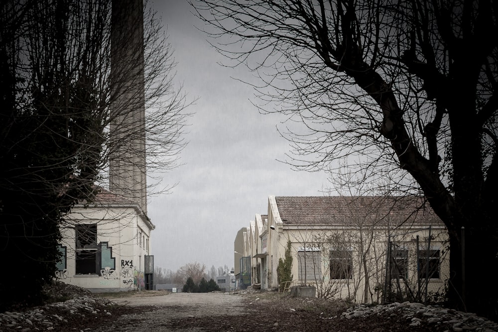 a dirt road leading to a building with a clock tower in the background