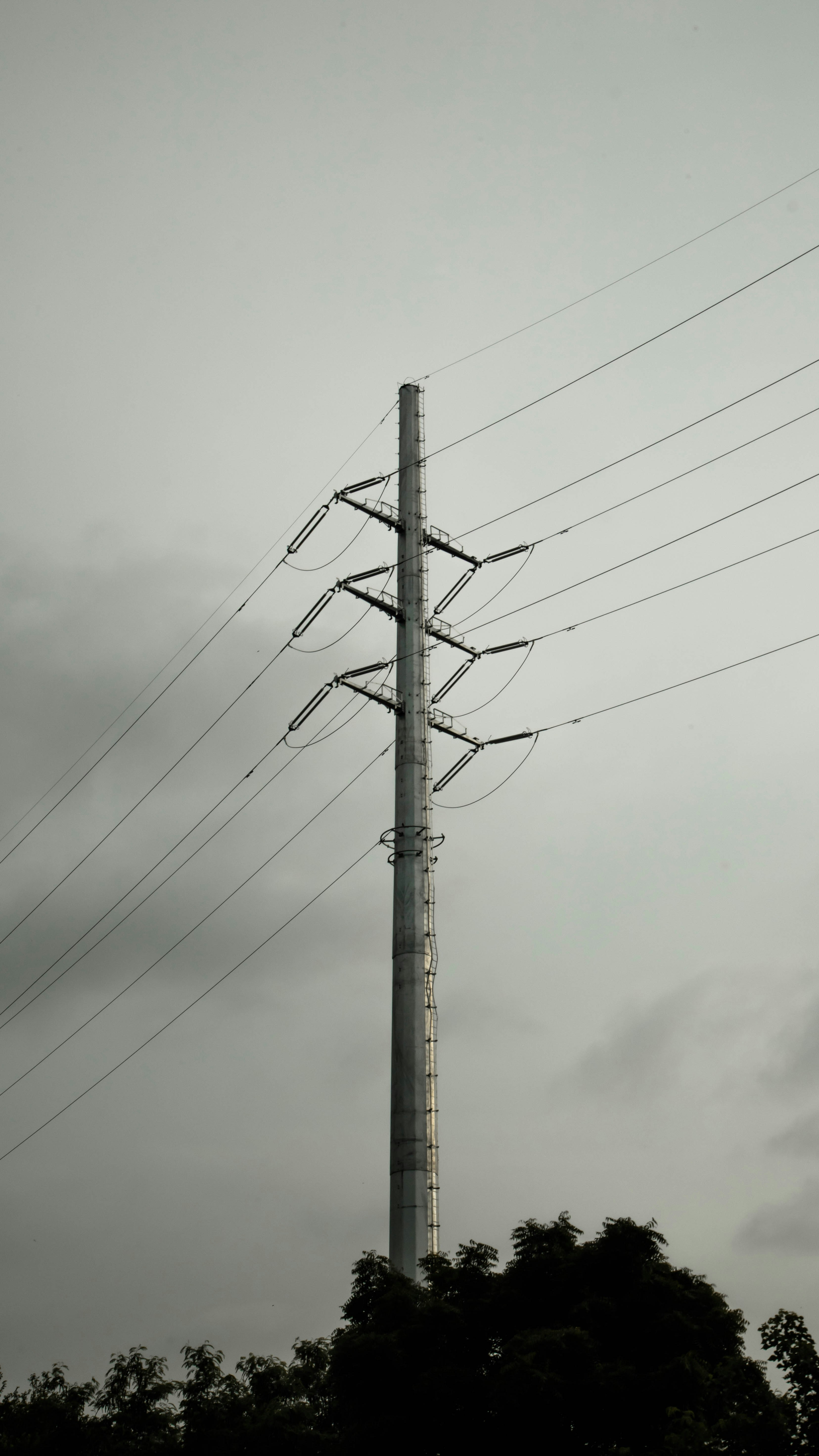 Photo by shhaayyoonn