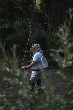 A person stands in a shallow stream, engaged in fly fishing. They are wearing waders, a light blue shirt, and a hat with a neck cover. A fishing net is attached to their back and they have a fly fishing rod in hand, with the line cast in the air. Surrounding the stream, dense green foliage creates a tranquil and secluded atmosphere.