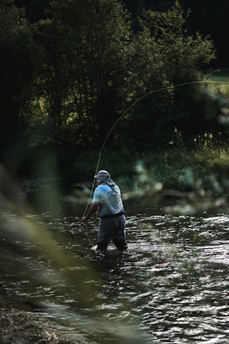 fly fisherman casting in a wooded river