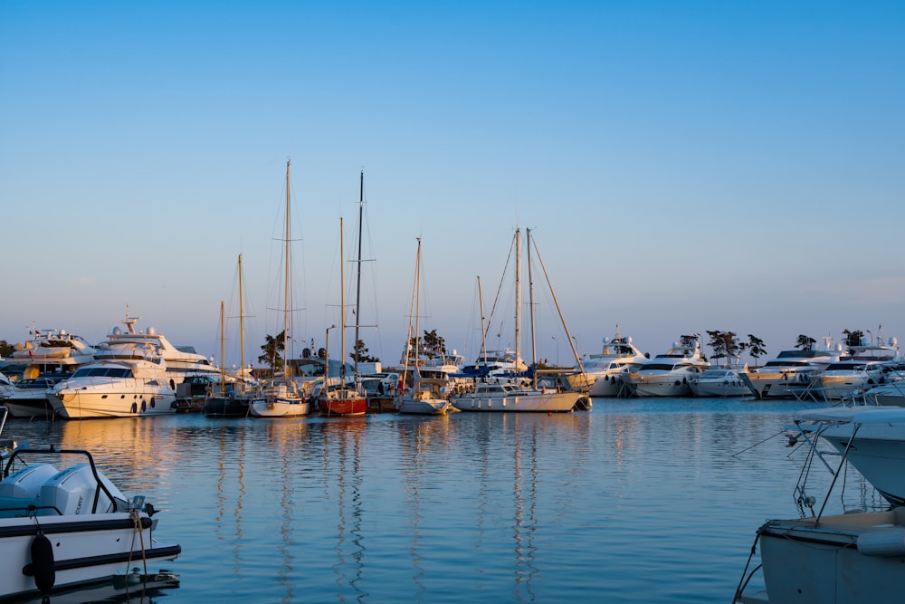 a bunch of boats that are in the water