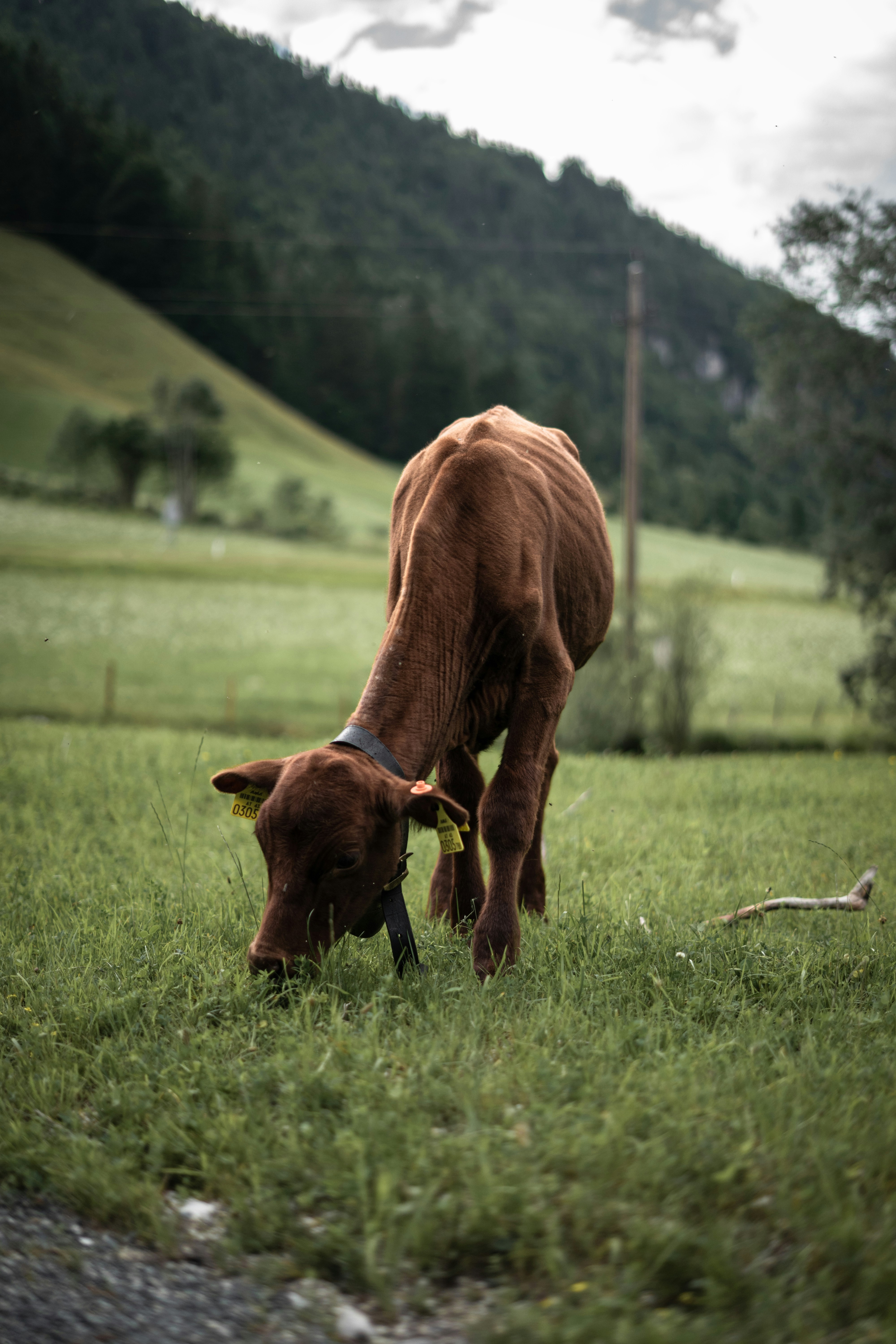 Photo by trenchophotography