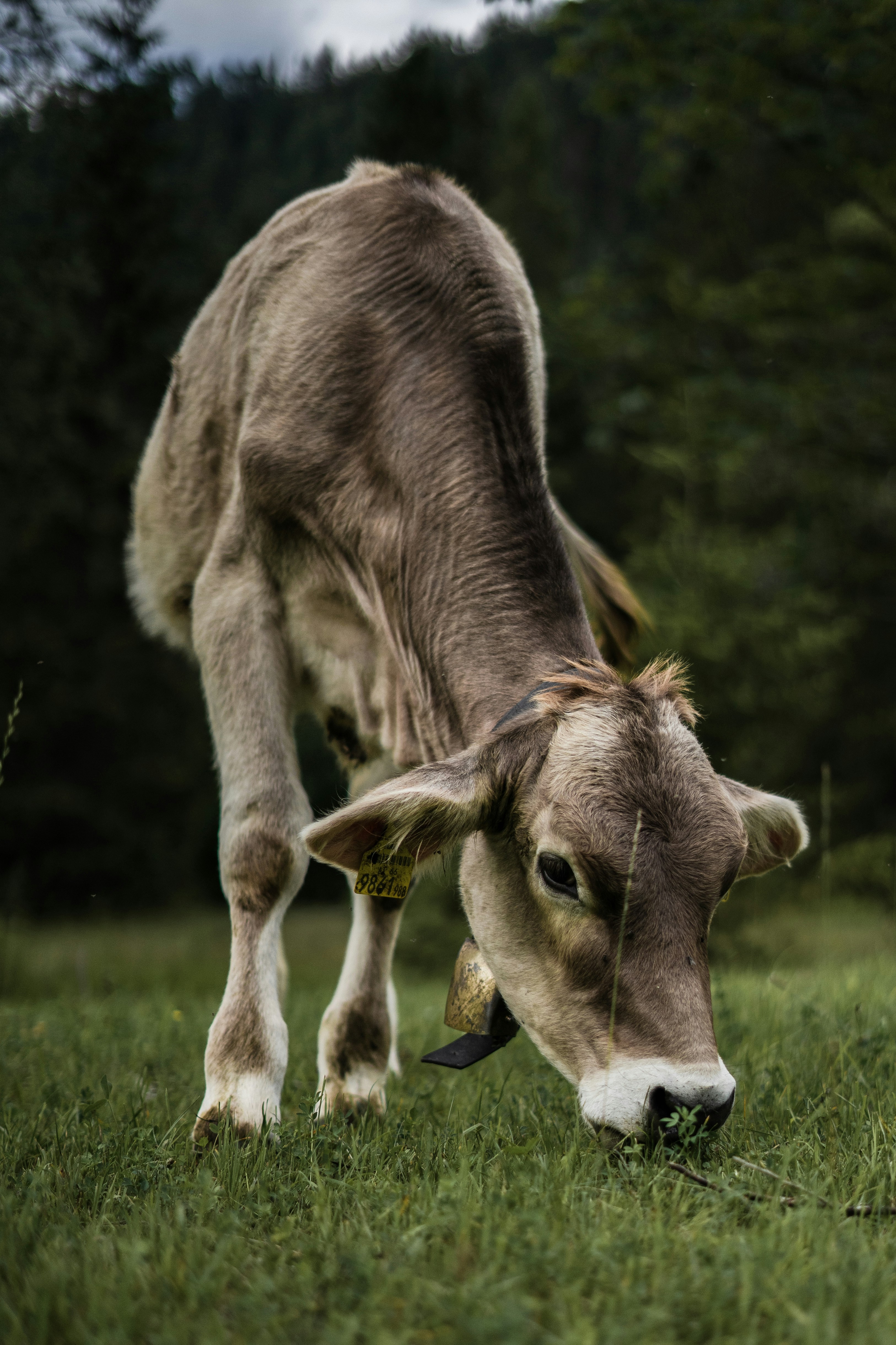 Photo by trenchophotography