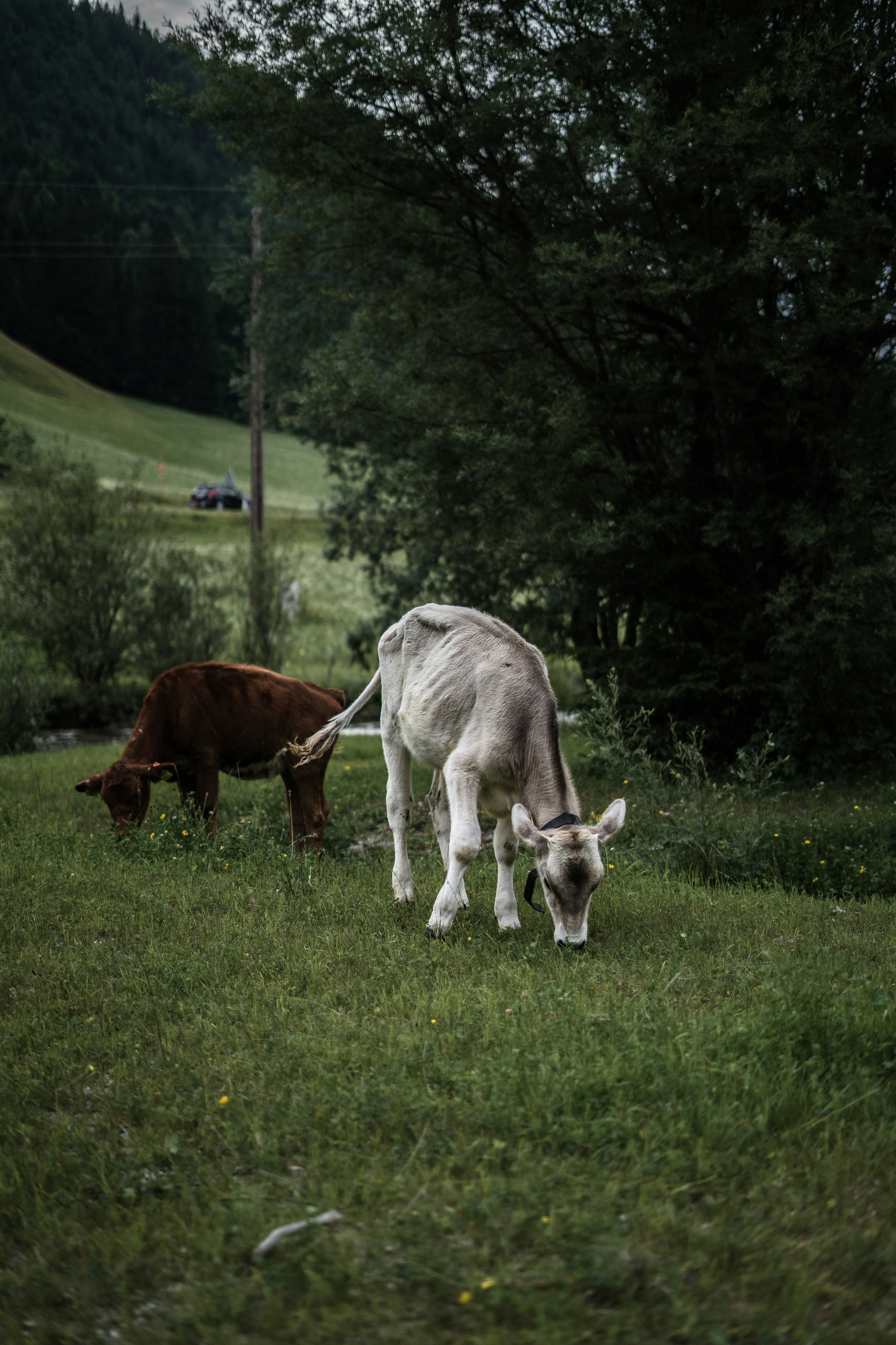 Photo by trenchophotography