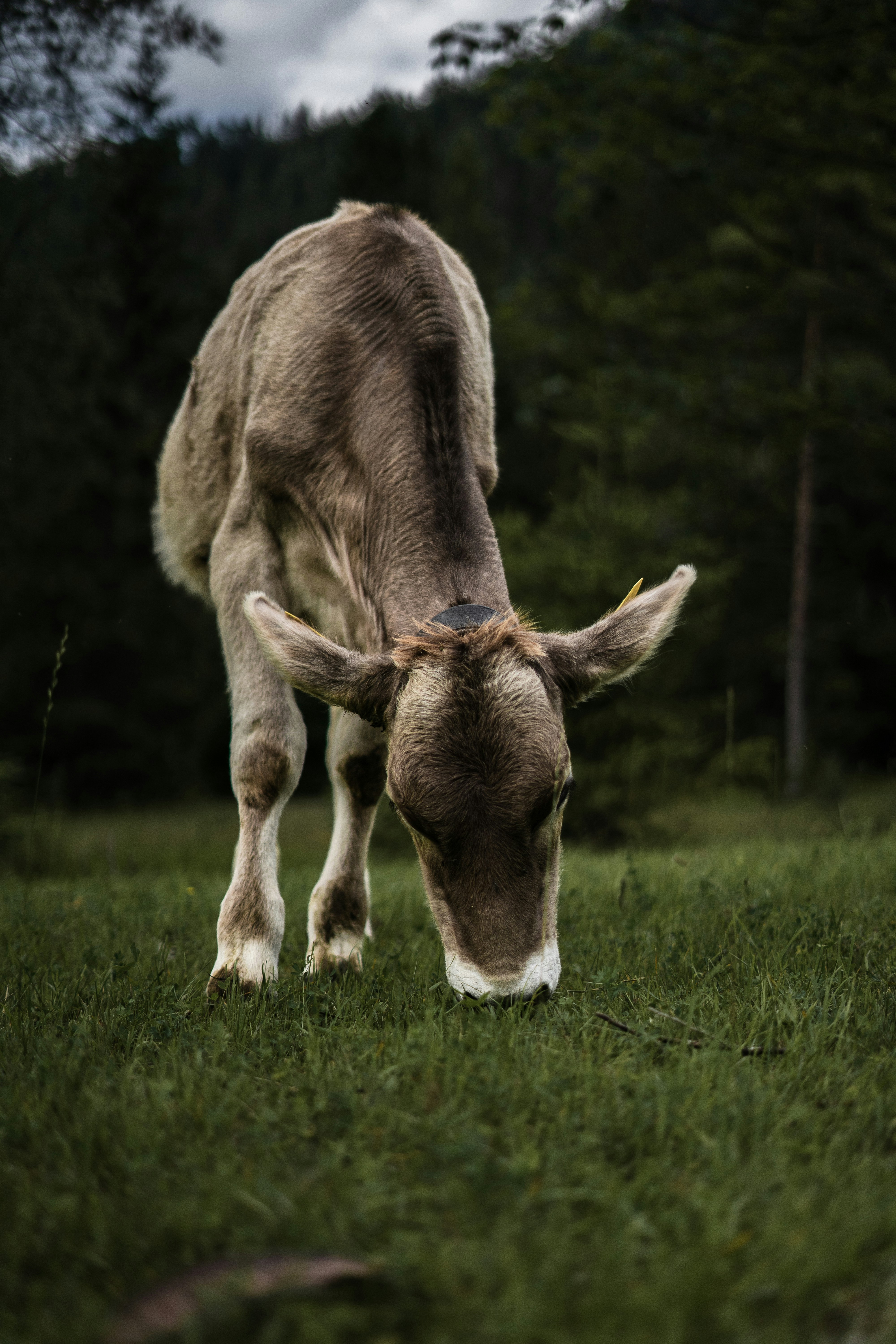 Photo by trenchophotography