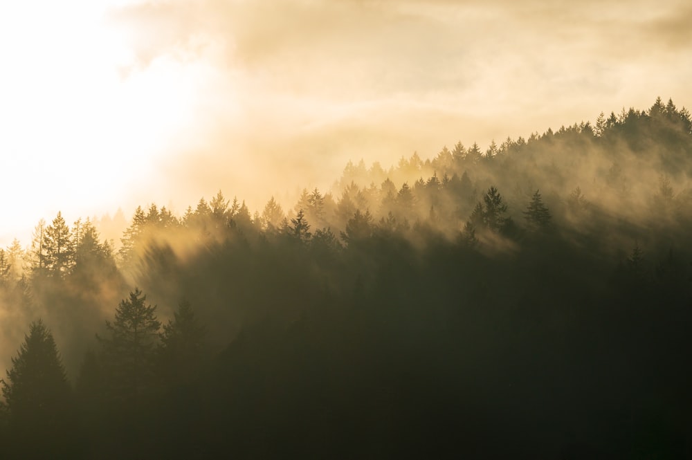 the sun is shining through the clouds over the trees