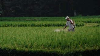 a man in a field spraying pest from a sprayer